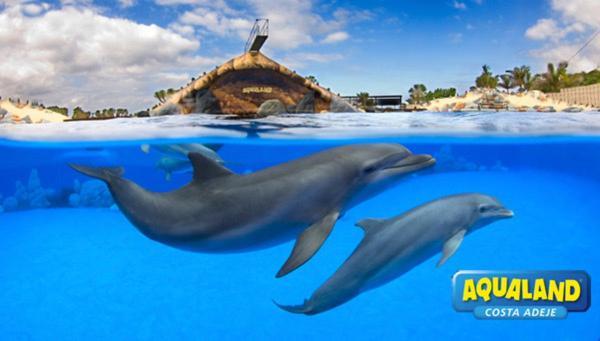 Royal Ocean View - Top Localization Costa Adeje  Eksteriør billede